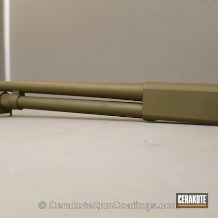 Powder Coating: Shotgun,Remington,FS FIELD DRAB C-30118