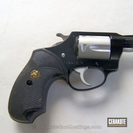 Powder Coating: Satin Aluminum H-151,Revolver