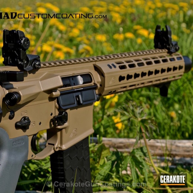 H-267 MagPul Flat Dark Earth with H-146 Graphite Black by David Teves ...