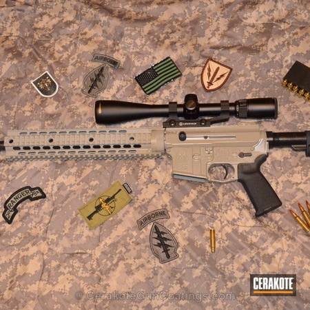 Powder Coating: Graphite Black H-146,Spike's Tactical,Tactical Rifle,Military,Coyote Tan H-235
