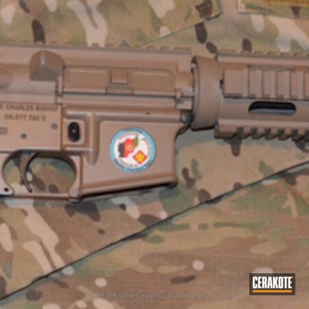 Powder Coating: Graphite Black H-146,Tactical Rifle,Military,Coyote Tan H-235