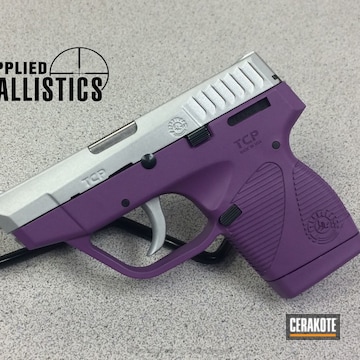 Cerakoted H-255 Crushed Silver With H-197 Wild Purple
