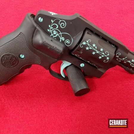 Powder Coating: Graphite Black H-146,Smith & Wesson,Ladies,Revolver,Robin's Egg Blue H-175