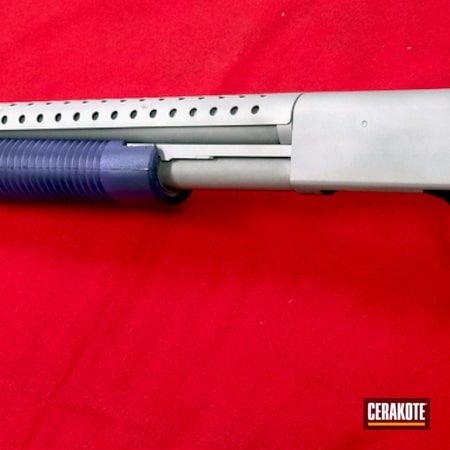 Powder Coating: Two Tone,Shotgun,Pump-action Shotgun,Shimmer Aluminum H-158,Bright Purple H-217