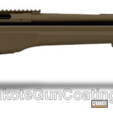 Powder Coating: Hunting Rifle,Flat Dark Earth H-265,Bolt Action Rifle
