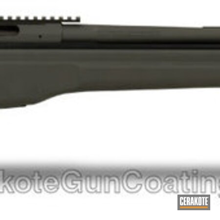 Powder Coating: Hunting Rifle,Tactical Rifle,SIG™ DARK GREY H-210