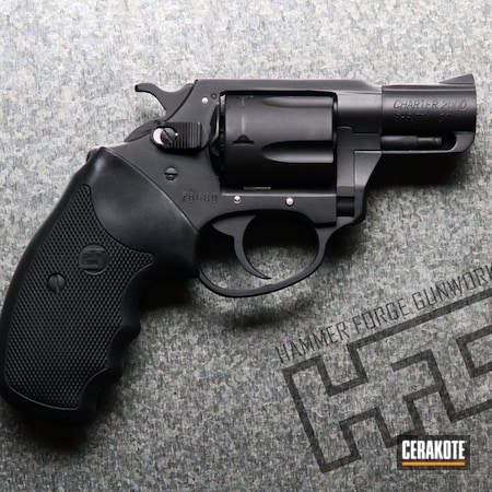 Powder Coating: Handguns,Pistol,Armor Black H-190,Revolver,Charter Arms,Lefty,38 Special