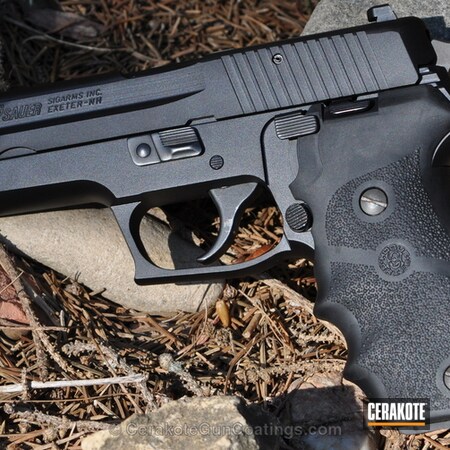 Powder Coating: Graphite Black H-146,Sig Sauer,Handguns