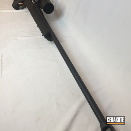 Powder Coating: Graphite Black H-146,Solid Tone,Rifle,Bolt Action Rifle