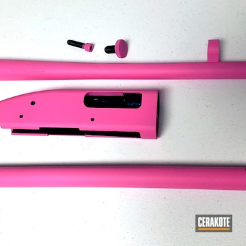 Cerakoted H-141 Prison Pink And H-122 Gold