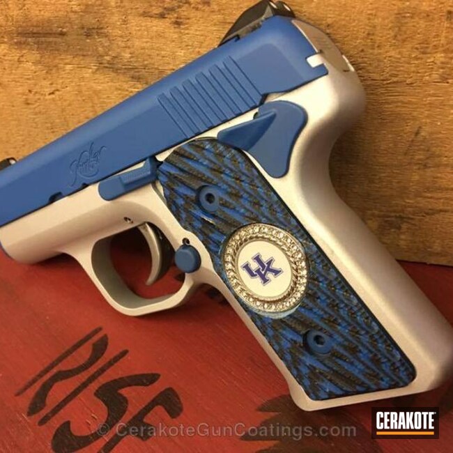Cerakoted H-255 Crushed Silver And H-171 Nra Blue
