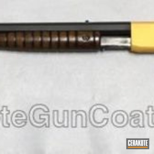 Cerakoted: Rifle,Graphite Black H-146,Remington,22lr,Model 12,Gold H-122