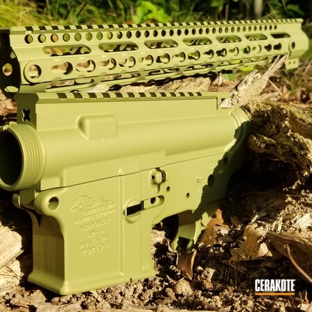 Powder Coating: Zombie Green H-168,Gold H-122,Anderson Mfg.,Custom Mix,Solid Tone,Upper / Lower,Handguard