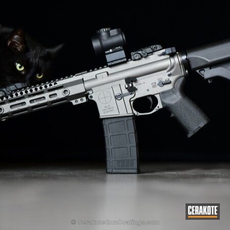 Powder Coating: AR Pistol,Tactical Rifle,Tungsten H-237