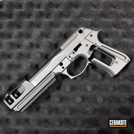 Powder Coating: Frame,Pistol,Gun Metal Grey H-219
