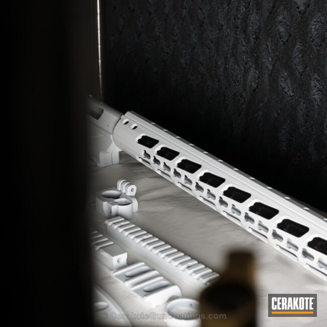 Cerakoted: Ruger,Ruger Precision 6.5,Gloss Black H-109,Gloss White H-137,Tactical Rifle