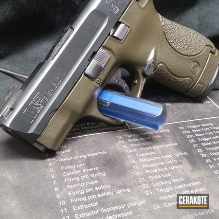 Powder Coating: Smith & Wesson,M&P Shield,Handguns,Pistol,MAGPUL® O.D. GREEN H-232