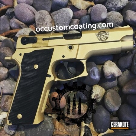 Powder Coating: Graphite Black H-146,Smith & Wesson,Pistol,Gold H-122