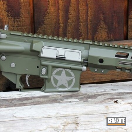 Powder Coating: Stars,Palmetto State Armory,Anderson Mfg.,O.D. Green H-236,Stainless H-152,AR-15
