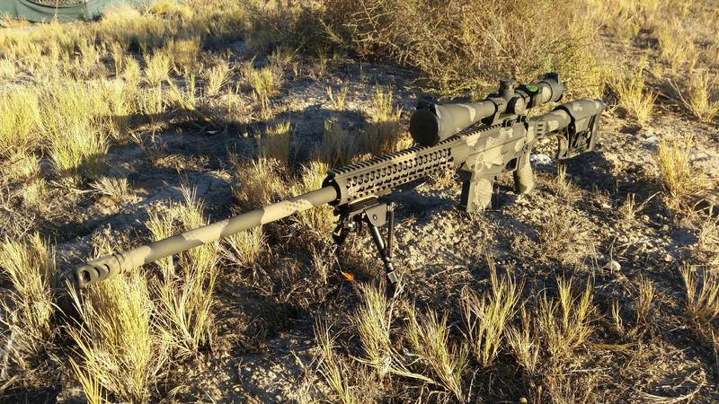Long Range Gun coated in a Custom Snake Skin Camo by DAVID OR TERRI ...