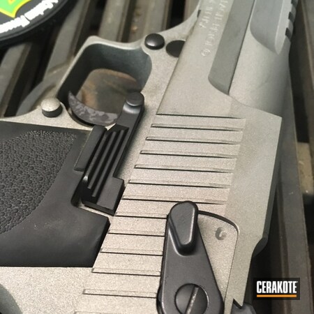 Powder Coating: Graphite Black H-146,Pistol,50ae,Desert Eagle,Gun Metal Grey H-219