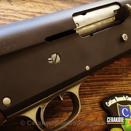 Powder Coating: Graphite Black H-146,Shotgun,Home Defense,Remington,Gun Metal Grey H-219