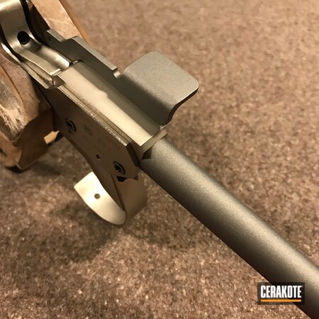 Powder Coating: Stainless H-152,Gun Parts