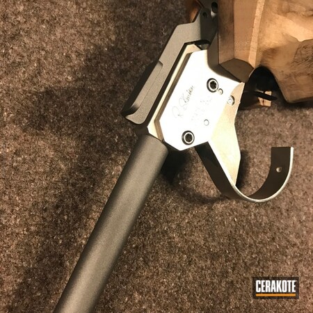 Powder Coating: Stainless H-152,Gun Parts