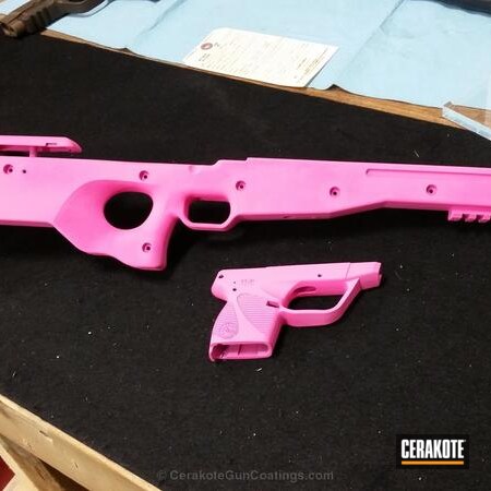 Powder Coating: Rifle Stock,Frame,Prison Pink H-141