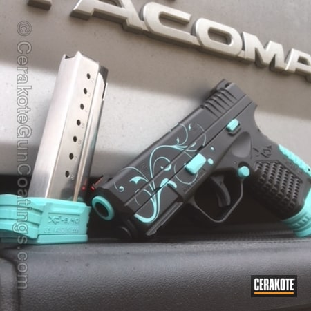 Powder Coating: Floral Patterned,Graphite Black H-146,Springfield XDS,Pistol,Springfield Armory,Robin's Egg Blue H-175