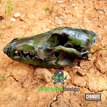 Cerakoted Real Coyote Skull In A Custom Cerakote Multicam Finish