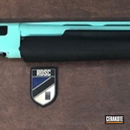 Powder Coating: Shotgun,Winchester,Robin's Egg Blue H-175