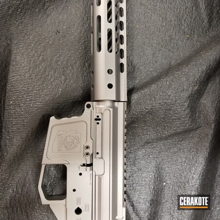 Powder Coating: SAVAGE® STAINLESS H-150,Solid Tone,Upper / Lower / Handguard