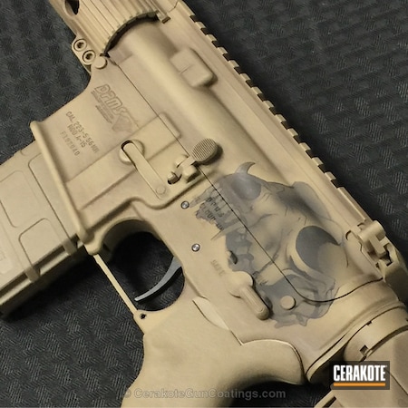 Powder Coating: Graphite Black H-146,DPMS,DPMS Panther Arms,Tactical Rifle,Coyote Tan H-235