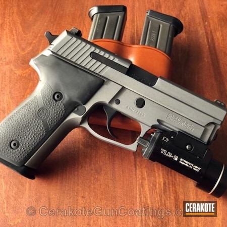 Powder Coating: Graphite Black H-146,Pistol,Tactical Grey H-227