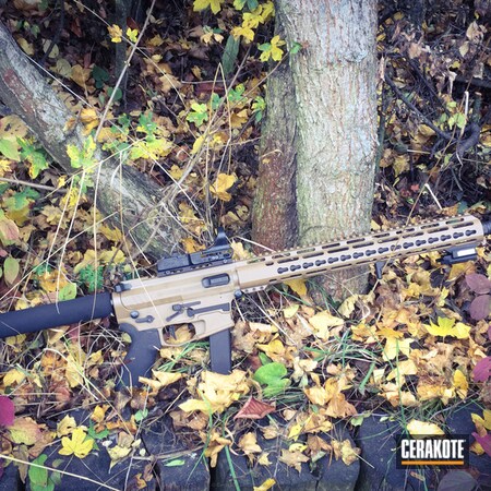 Powder Coating: Two Tone,AR9,Tactical Rifle,TROY® COYOTE TAN H-268