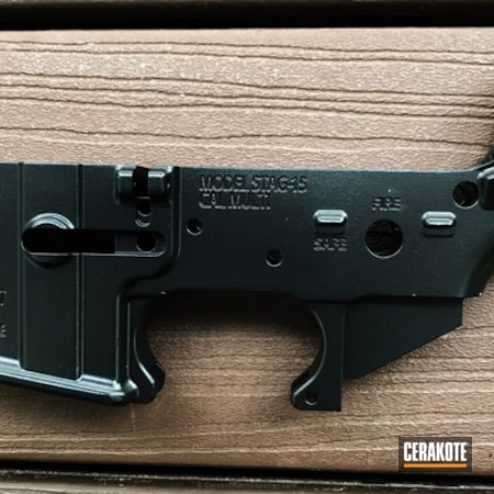 Powder Coating: Graphite Black H-146,AR-15 Lower,Stag Arms,Lower