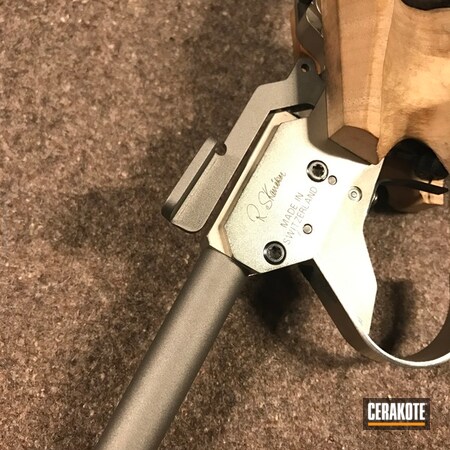Powder Coating: Free Pistol,Stainless H-152