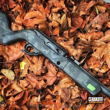 Cerakoted Custom Coated Ruger 10/22 Takedown Rifle