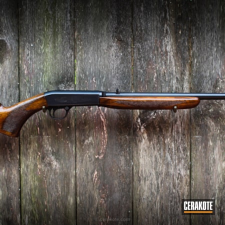 Powder Coating: Cerakote Elite Series,Midnight E-110,Rifle,Restoration