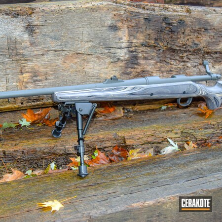 Powder Coating: Smoke E-120,Cerakote Elite Series,Remington 700,Remington,Bolt Action Rifle