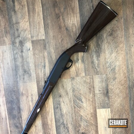 Powder Coating: Graphite Black H-146,22lr,Remington,Rifle,Nylon 77
