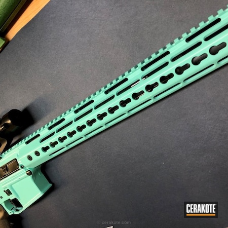 Powder Coating: Two Tone,Anderson Mfg.,Tactical Rifle,Robin's Egg Blue H-175
