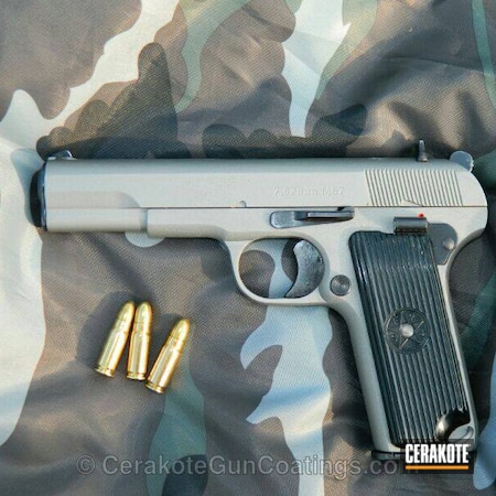 Powder Coating: Handguns,Tokarev,Stainless H-152