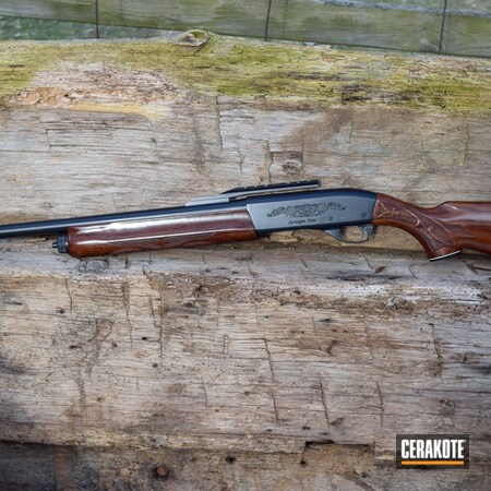 Powder Coating: Shotgun,BLACKOUT E-100,Remington,Remington 1100