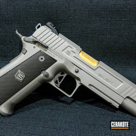 Powder Coating: Two Tone,Airsoft,Pistol,Desert Gold: H-246,Stainless H-152,Tungsten H-237,Salient Arms
