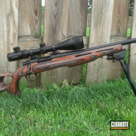 Powder Coating: Graphite Black C-102,Hunting Rifle,Remington