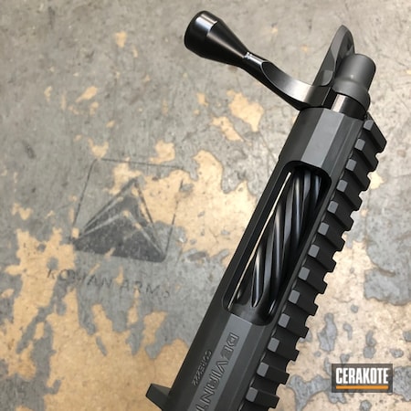 Powder Coating: BLACKOUT E-100,Defiance Actions,Sniper Rifle,Defiance Arms,Sniper Grey H-234,Deviant,Rifle,Bolt Action Rifle,Barreled Action,Texas Custom Rifles