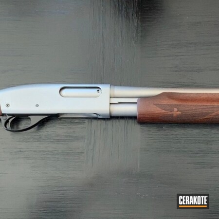 Powder Coating: Shotgun,Remington 870,Remington,SAVAGE® STAINLESS H-150