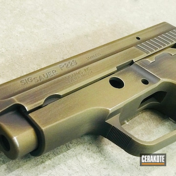 Cerakoted Distressed Sig Sauer P229 Handgun